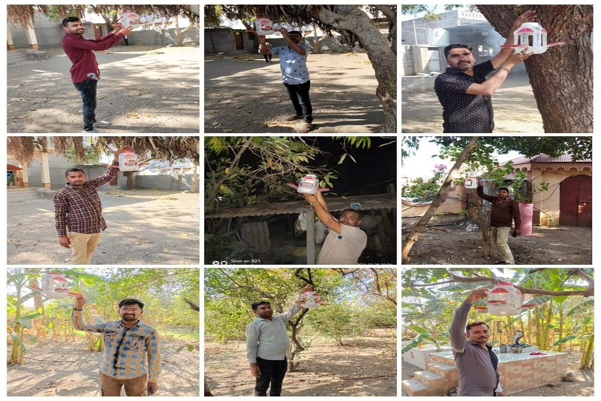 શિયાળાની ઋતુ હવે પૂરી થવા આવી છે અને ઉનાળો હવે આવી રહ્યો છે. ત્યારે આવામાં હવે પક્ષીઓને પાણી અને ચણ સમયસર મળી રહે તે માટે બોટાદ શહેરના તુરખા રોડ ઉપર રહેતા જય અંબે યુવક મંડળના યુવાનો દ્વારા ટમેટાના સોસની બરણીમાંથી પંખીને દાણા અને પાણી મળી રહે તેવા 251 પંખી ઘર બનાવ્યા છે. એક પંખી ઘરની પાછળ આ યુવાનોને 40 રૂપિયાનો ખર્ચો થયો છે. શિયાળાની ઋતુ હવે પૂરી થવા આવી છે અને ઉનાળો હવે આવી રહ્યો છે. ત્યારે આવામાં હવે પક્ષીઓને પાણી અને ચણ સમયસર મળી રહે તે માટે બોટાદ શહેરના તુરખા રોડ ઉપર રહેતા જય અંબે યુવક મંડળના યુવાનો દ્વારા ટમેટાના સોસની બરણીમાંથી પંખીને દાણા અને પાણી મળી રહે તેવા 251 પંખી ઘર બનાવ્યા છે. એક પંખી ઘરની પાછળ આ યુવાનોને 40 રૂપિયાનો ખર્ચો થયો છે.