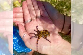  ભૂલથી યુવતીએ હાથમાં પકડી લીધું કંઈક એવું, જે એક મિનિટમાં 26 લોકોને ઉતારી શકે છે મોતને ઘાટ