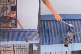 કબૂતરને ચમચીથી પાણી પીવડાવતા ભૂલકાનો વીડિયો વાયરલ, લોકોએ ખૂબ વખાણ્યો