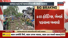 વોરાના રોઝાથી શારદાબેન હોસ્પિટલનો માર્ગ વૃક્ષ પડવાથી બંધ