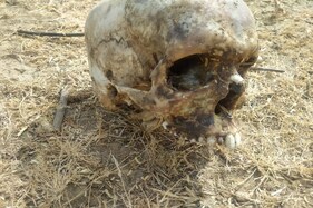 બનાસકાંઠા : અમીરગઢ જંગલમાંથી બે માનવ કંકાલ મળ્યા, 15 દિવસથી પ્રેમી પંખીડા ગુમ હતા