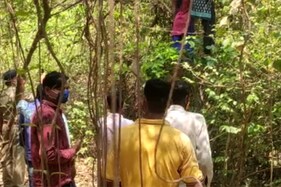 પંચમહાલ: બે દિવસમાં બે બહેન અને એક યુવક જંગલમાં લટકતી હાલતમાં મળ્યાં