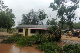 Tauktae અસર: રાજ્યના 221 જિલ્લાના 84 તાલુકામાં વરસાદ, છ તાલુકામાં એક ઇંચ જેટલો વરસાદ