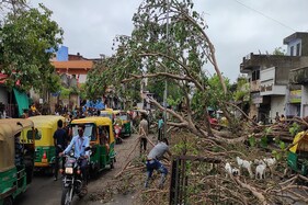 અમદાવાદમાં tauktaeના તાંડવ બાદ સર્જી તારાજી, જોઈ લો નવી ઊભી થયેલી મુશ્કેલીઓની તસવીરો
