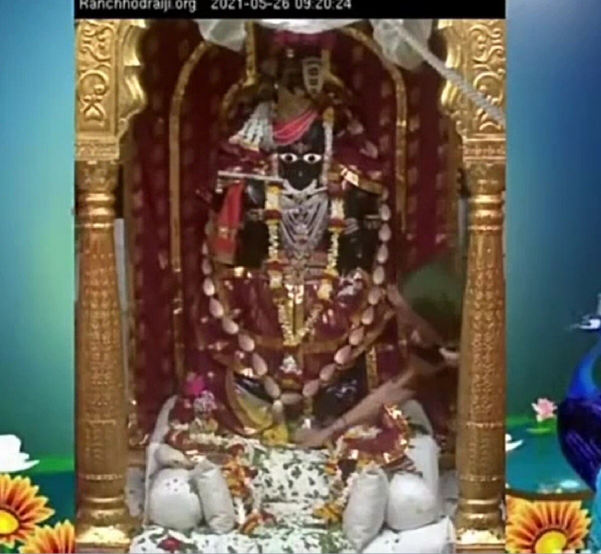 ડાકોર મંદિરની વર્ષોથી પરંપરા તોડીને આ મહિલાઓ ઠાકોરજીના ચરણસ્પર્શ કર્યા. ત્યારે આ સમગ્ર મામલે વિવાદ થયો છે. ડાકોર મંદિરની વર્ષોથી પરંપરા તોડીને આ મહિલાઓ ઠાકોરજીના ચરણસ્પર્શ કર્યા. ત્યારે આ સમગ્ર મામલે વિવાદ થયો છે.