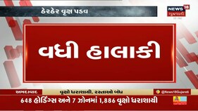 વાવાઝોડાને લઈને રાજ્યમાં શું અસરો થઇ ?