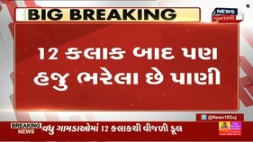 Gir Somnath ના Talala માં કેસર કેરીનું ભારે નુકસાન