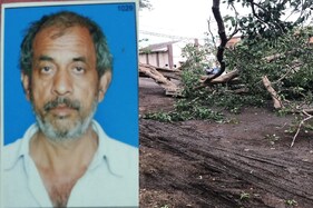 ગુજરાતમાં Tautkae વાવાઝોડાની અસરઃ કામરેજના માંકના ગામે ઝાડ નીચે દટાતા એકનું મોત