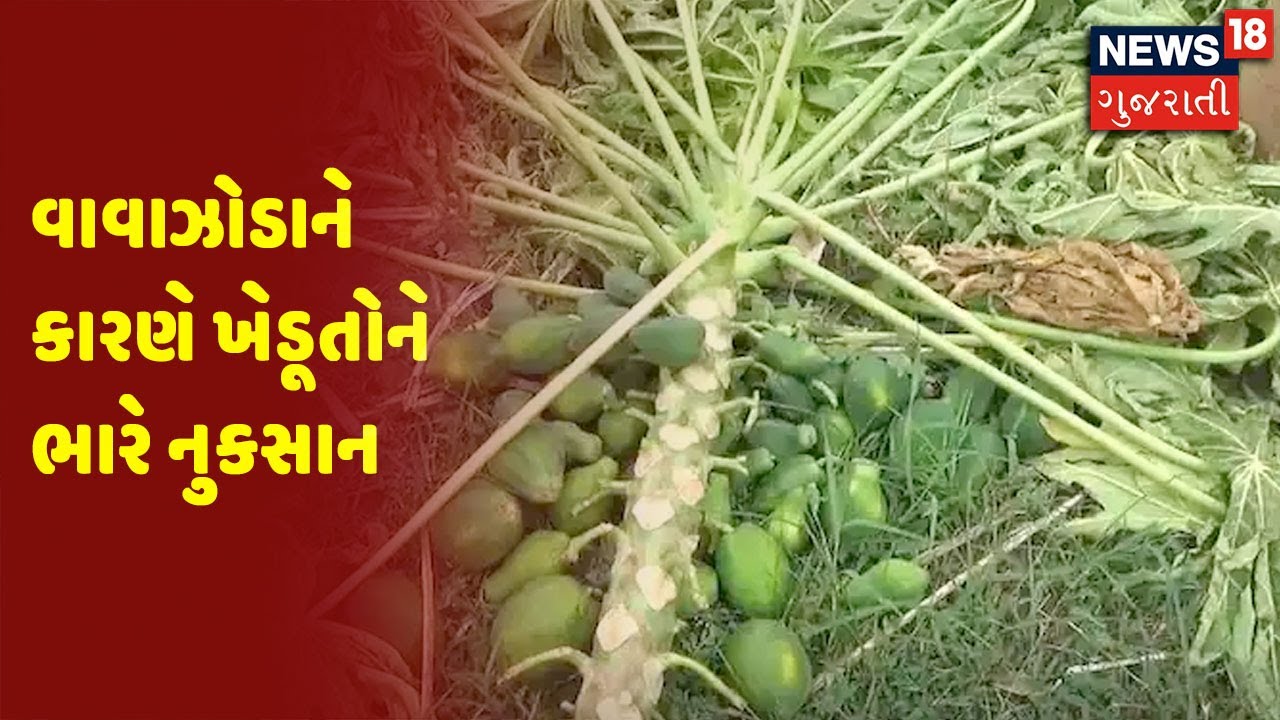 વાવાઝોડાને કારણે ખેડૂતોને ભારે નુકસાન