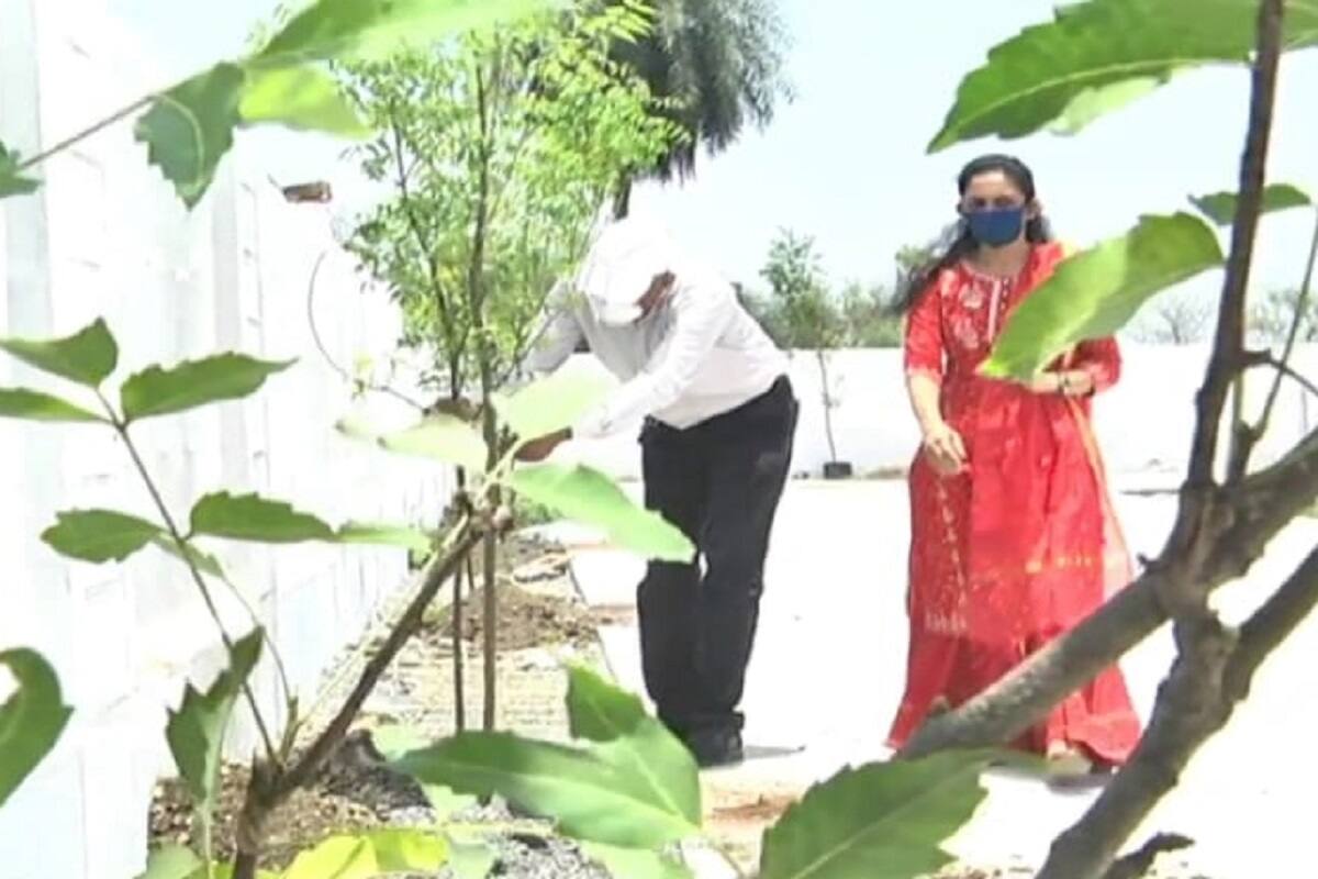  આ સિવાય આવનાર સમયમાં પણ તેમના પરિવારના તમામ શુભ પ્રસંગો વખતે તેઓ કોઈ અન્ય ખોટા ખર્ચા કરવાને બદલે વૃક્ષારોપણ કરી અને પ્રસંગને યાદગાર બનાવવાનું નક્કી કર્યું છે. આ બંને કોટડીયા દંપતીએ સજી ધજીને પોતાના ઘર અને વ્યવસાયના સ્થળની આસપાસના વિસ્તારમાં સૌથી વધુ ઓક્સિજન આપતા લીમડો અને પીપળો સહિતના મોટા વૃક્ષો રોપવાના શરૂ કર્યા છે. સાથે જ આ વૃક્ષોનું જતનની પણ તેઓએ જવાબદારી લીધી છે.