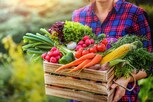 Food Tips : શ્રાવણ મહિનામાં ભૂલથી પણ ન ખાશો આ શાકભાજી, ફાયદાને બદલે થશે નુકસાન