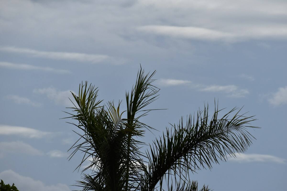  10 જૂન દરમિયાન બંગાળની ખાડીમાં એક લો પ્રેશર સિસ્ટમ સક્રિય થશે. આ સિસ્ટમના કારણે છત્તીસગઢ, ઓરિસ્સા, મધ્યપ્રદેશ થઇ ગુજરાતમાં વરસાદ થશે. સાઉથ-વેસ્ટ મોન્સૂન અને બંગાળની ખાડીની લો પ્રેશર સિસ્ટમથી અરબી સમુદ્ર ઉપર 10 જૂન બાદ દક્ષિણ પશ્ચિમી પવનો વધુ સક્રિય થશે. જેથી 11થી 13 દરમિયાન સુરત સહિત દક્ષિણ ગુજરાતમાં સારો વરસાદ થવાની શક્યતા છે