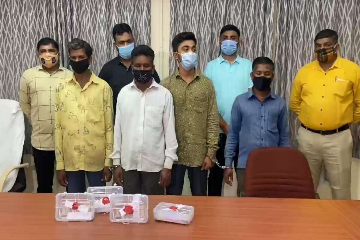 ભરતસિંહ વાઢેર, વલસાડ: રાજ્યના છેવાડે આવેલા વલસાડ (valsad) જિલ્લાના અંતરિયાળ આદિવાસી (tribes area) વિસ્તારમાં નકલી ચલણી નોટ (fack currency notes) બજારમાં ઘુસાડવાનું એક ષડયંત્રનો પર્દાફાશ વલસાડ પોલીસે (valsad police) કર્યો છે. વલસાડ જિલ્લાની એસ.ઓ.જી અને એલસીબી પોલીસની ટીમે મહારાષ્ટ્ર (Maharashtra) અને ધરમપુરના બોર્ડરના (Dharmpur border) ગામમાંથી નકલી નોટના માફિયા ઝડપી પાડી દેશના અર્થતંત્રને નુકસાન પહોંચાડવાના ષડયંત્રનો પર્દાફાશ થયો છે. ભરતસિંહ વાઢેર, વલસાડ: રાજ્યના છેવાડે આવેલા વલસાડ (valsad) જિલ્લાના અંતરિયાળ આદિવાસી (tribes area) વિસ્તારમાં નકલી ચલણી નોટ (fack currency notes) બજારમાં ઘુસાડવાનું એક ષડયંત્રનો પર્દાફાશ વલસાડ પોલીસે (valsad police) કર્યો છે. વલસાડ જિલ્લાની એસ.ઓ.જી અને એલસીબી પોલીસની ટીમે મહારાષ્ટ્ર (Maharashtra) અને ધરમપુરના બોર્ડરના (Dharmpur border) ગામમાંથી નકલી નોટના માફિયા ઝડપી પાડી દેશના અર્થતંત્રને નુકસાન પહોંચાડવાના ષડયંત્રનો પર્દાફાશ થયો છે.