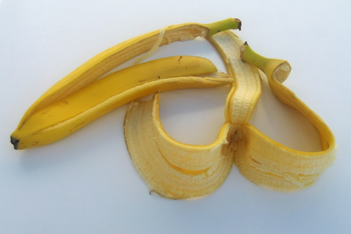 કેળા (Banana) એક એવું ફળ છે જેમાં ભરપૂર પ્રમાણમાં વિટામિન, મિનરલ્સ અને પ્રોટીન હોય છે. વજન વધારવું હોય કે ઘટાડવું હોય, કેળાના ઘરગથ્થુ ઉપાયો કારક નિવડે છે. આપણા દેશનાં મોટાભાગનાં વિસ્તારોમાં કેળા ખવાતા હોય છે, પણ શું તમે જાણો છો કે, કેળાની છાલમાં (Banana peel beauty hacks) પણ ચમત્કારિક ગુણો છુપાયેલા હોય છે. જો તમે કેળાની છાલ કચરો સમજીને ફેંકી દો છો તો હવેથી એમ કરતાં ધ્યાન રાખજો. કારણ કે, કેળાની છાલમાં જ એટલા ગુણો છે જેનો કદાચ તમને ખ્યાલ જ નહીં હોય. કેળાની છાલમાં રહેલા વિટામિન, કાર્બોહાઇડ્રેટ, એન્ટીઑક્સિડન્ટ અને પોટેશિયમ જેવા તત્વો તમારી ત્વચા માટે વરદાન કરતાં સહેજ પણ ઓછાં નથી. તો આવો જાણીએ કેળાના છાલથી થતાં લાભ અંગે. કેળા (Banana) એક એવું ફળ છે જેમાં ભરપૂર પ્રમાણમાં વિટામિન, મિનરલ્સ અને પ્રોટીન હોય છે. વજન વધારવું હોય કે ઘટાડવું હોય, કેળાના ઘરગથ્થુ ઉપાયો કારક નિવડે છે. આપણા દેશનાં મોટાભાગનાં વિસ્તારોમાં કેળા ખવાતા હોય છે, પણ શું તમે જાણો છો કે, કેળાની છાલમાં (Banana peel beauty hacks) પણ ચમત્કારિક ગુણો છુપાયેલા હોય છે. જો તમે કેળાની છાલ કચરો સમજીને ફેંકી દો છો તો હવેથી એમ કરતાં ધ્યાન રાખજો. કારણ કે, કેળાની છાલમાં જ એટલા ગુણો છે જેનો કદાચ તમને ખ્યાલ જ નહીં હોય. કેળાની છાલમાં રહેલા વિટામિન, કાર્બોહાઇડ્રેટ, એન્ટીઑક્સિડન્ટ અને પોટેશિયમ જેવા તત્વો તમારી ત્વચા માટે વરદાન કરતાં સહેજ પણ ઓછાં નથી. તો આવો જાણીએ કેળાના છાલથી થતાં લાભ અંગે.