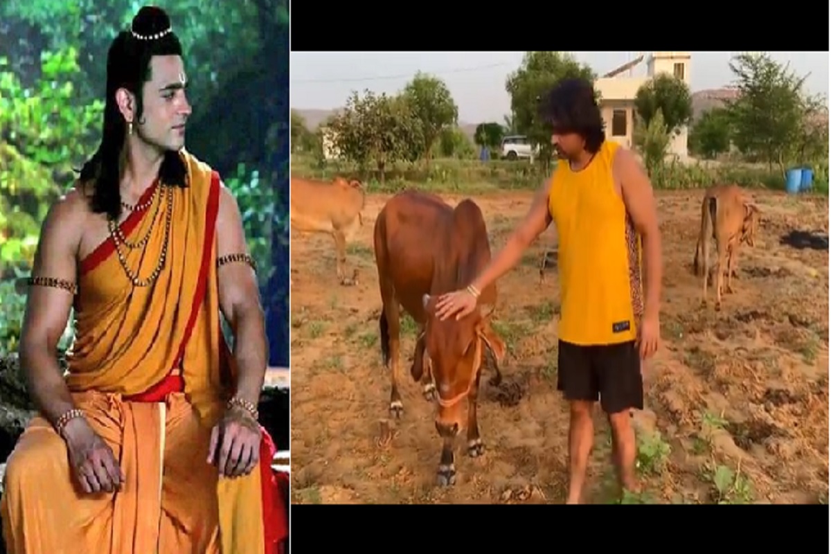  એન્ટરટેઇનમેન્ટ ડેસ્ક: આમ તો બધા કહે છે કે, એક વખત જો ફિલ્મો અને ટીવીની દુનિયાનો રંગ લાગ્યો તો પછી તે ઉતરવો મુશ્કેલ છે. પણ કોરોના (Corona) અને લોકડાઉનમાં (Lockdown) ઘણાં એક્ટર્સે ઇન્ડસ્ટ્રી છોડીને અન્ય કામ શોધી લીધુ છે. ત્યારે ટીવી એક્ટર આશીષ શર્મા (Ashish Sharma)પણ ટીવીની દુનીયા છોડીને ખેતીવાડીમાં જીવ પોરવી લીધો છે. તે હાલમાં તેનાં રાજસ્થાનમાં આવેલાં ગામડે છે. અહીં તે ખેતીનું કામ કરે છે અને ગાયો દોહે છે તેમની સાથે સમય વિતાવે છે.