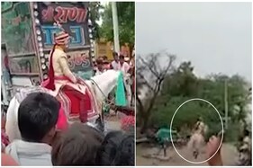 લગ્નમાં ભડકેલી ઘોડી દુલ્હાને લઈને ભાગી, પરિવારજનો કાર લઈને કર્યો 4 km સુધી પીછો