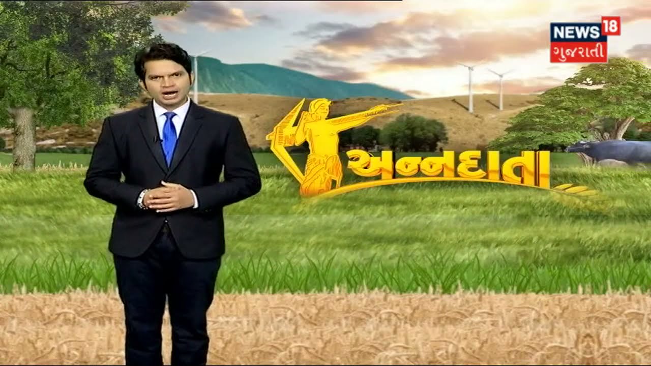 Annadata: સીતાફળ ઉતાર્યા બાદ બગીચાની માવજતમાં ધ્યાનમાં રાખવાના મુદ્દા