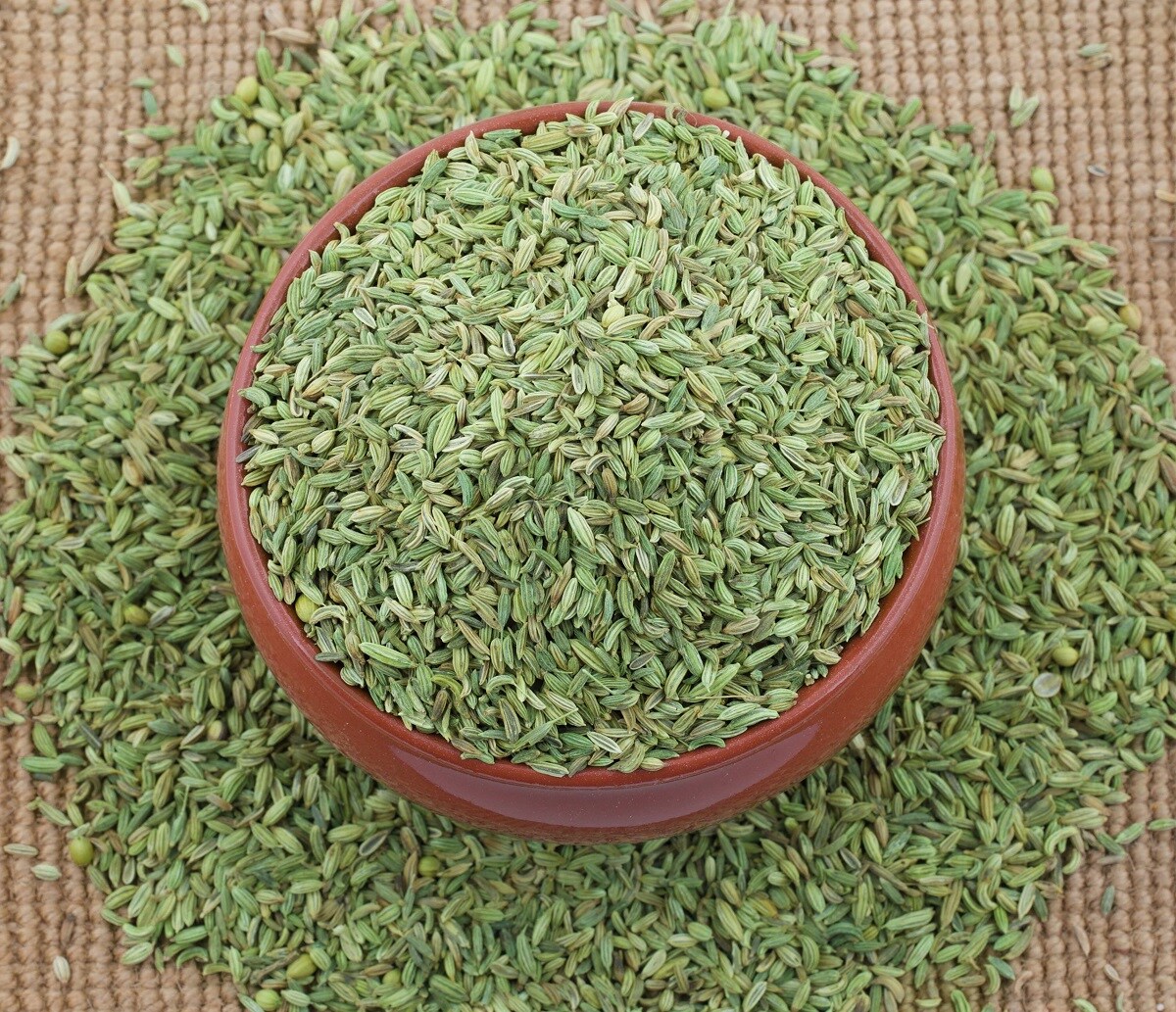 ઉલટી, ઉબકાની તકલીફ રહેતી હોય તેમના માટે પણ વરીયાળી ઉત્તમ દવા છે. તેના માટે વરીયાળીના પાનનો રસ પાણીમાં ઉમેરી દર્દીને આપવો. આ ઉપરાંત રોજની રસોઈમાં પણ તમે વરીયાળીનો ઉપયોગ કરી શકો છો. ઉલટી, ઉબકાની તકલીફ રહેતી હોય તેમના માટે પણ વરીયાળી ઉત્તમ દવા છે. તેના માટે વરીયાળીના પાનનો રસ પાણીમાં ઉમેરી દર્દીને આપવો. આ ઉપરાંત રોજની રસોઈમાં પણ તમે વરીયાળીનો ઉપયોગ કરી શકો છો.
