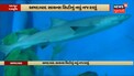 Ahmedabad Science City માં PM Modi Aquarium નું લોકાર્પણ કરશે