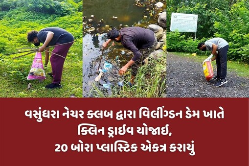 વિશ્વ