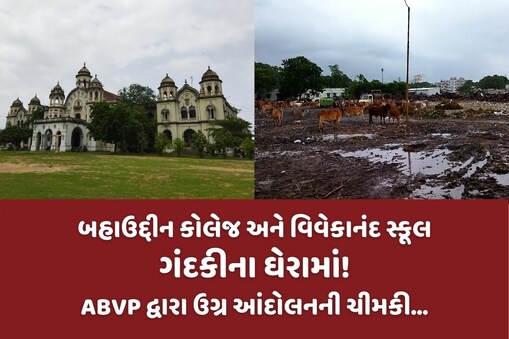 જૂનાગઢ:બહાઉદ્દીન