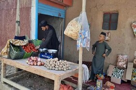 તાલિબાનના ડરથી અફઘાની સિંગર હબીબુલ્લાહ શાબાબે ગાવાનું છોડ્યું, હવે વેચી રહ્યો છે શાકભાજી