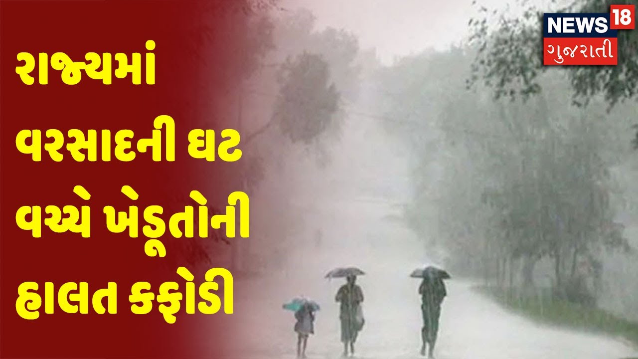 રાજ્યમાં વરસાદની ઘટ વચ્ચે ખેડૂતોની હાલત કફોડી