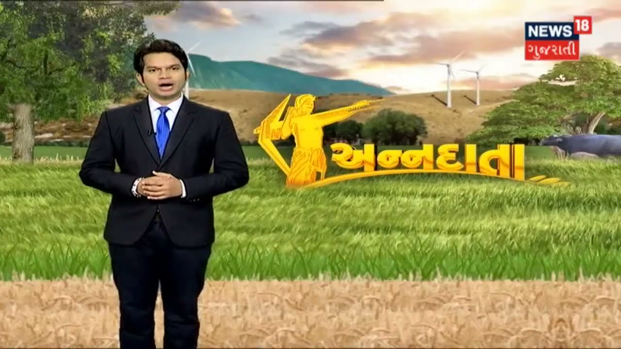 Annadata : જાણો સીતાફળની પાક ઉતાર્યા બાદ બગીચાની માવજત કેવી રીતે કરવી