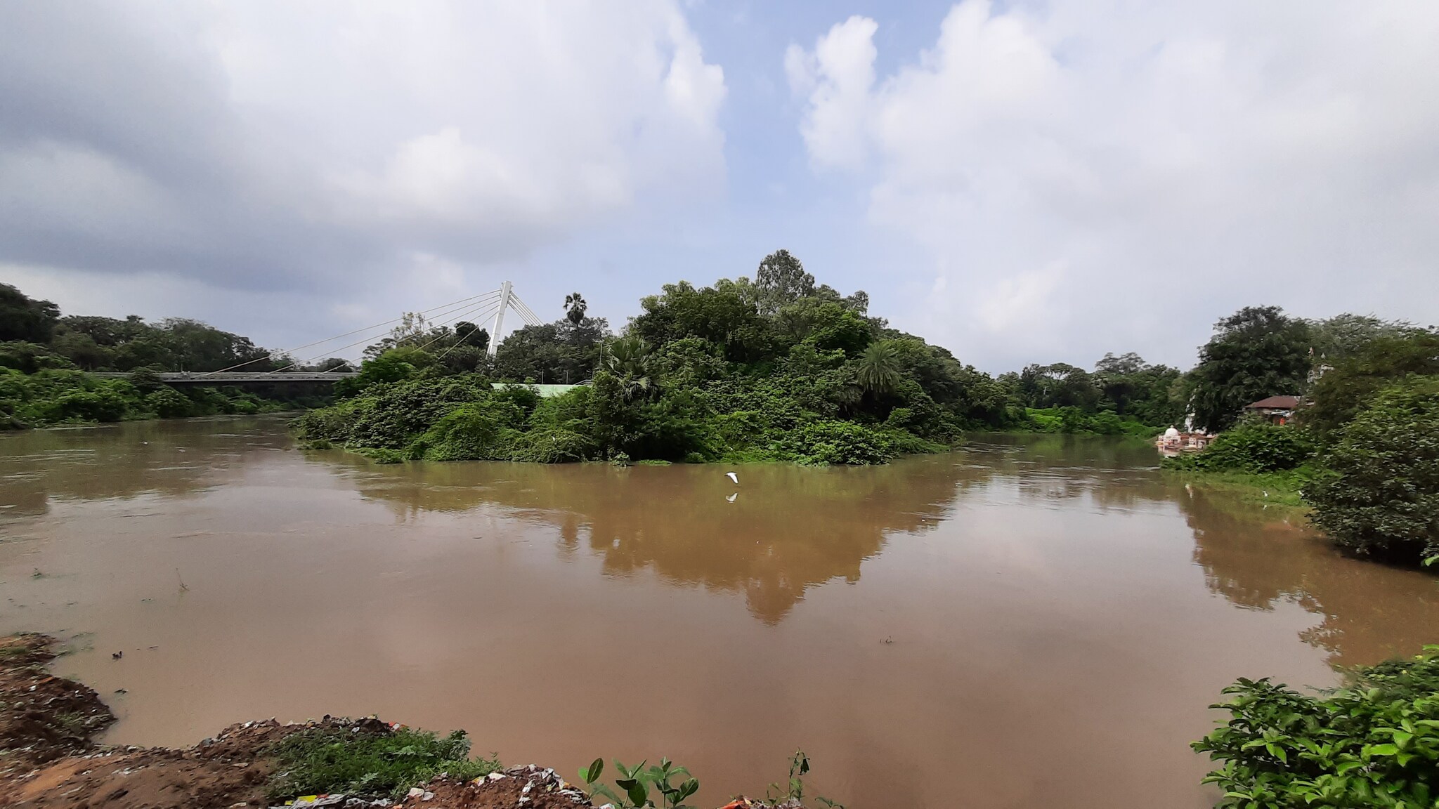 વડોદરા: વિશ્વામિત્રી નદીની જળ સપાટીમાં સતત વધારો, ભયજનક સપાટીથી માત્ર ચાર ફૂટ દૂર