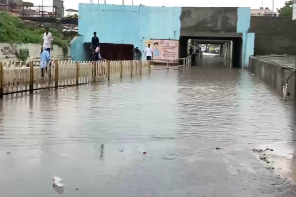 મહેસાણા: ગાજવીજ સાથે ધોધમાર વરસાદ થતા ગોપીનાળા સહિત અનેક વિસ્તારોમાં પાણી ભરાયા મહેસાણા: ગાજવીજ સાથે ધોધમાર વરસાદ થતા ગોપીનાળા સહિત અનેક વિસ્તારોમાં પાણી ભરાયા
