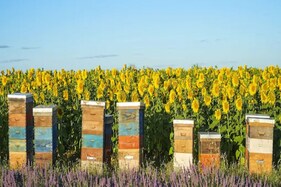 ઓછા ખર્ચે શરૂ કરો આ શાનદાર ધંધો, દર મહિને થશે Rs.5 લાખની કમાણી, સરકાર પણ આપશે 85% સબસિડી