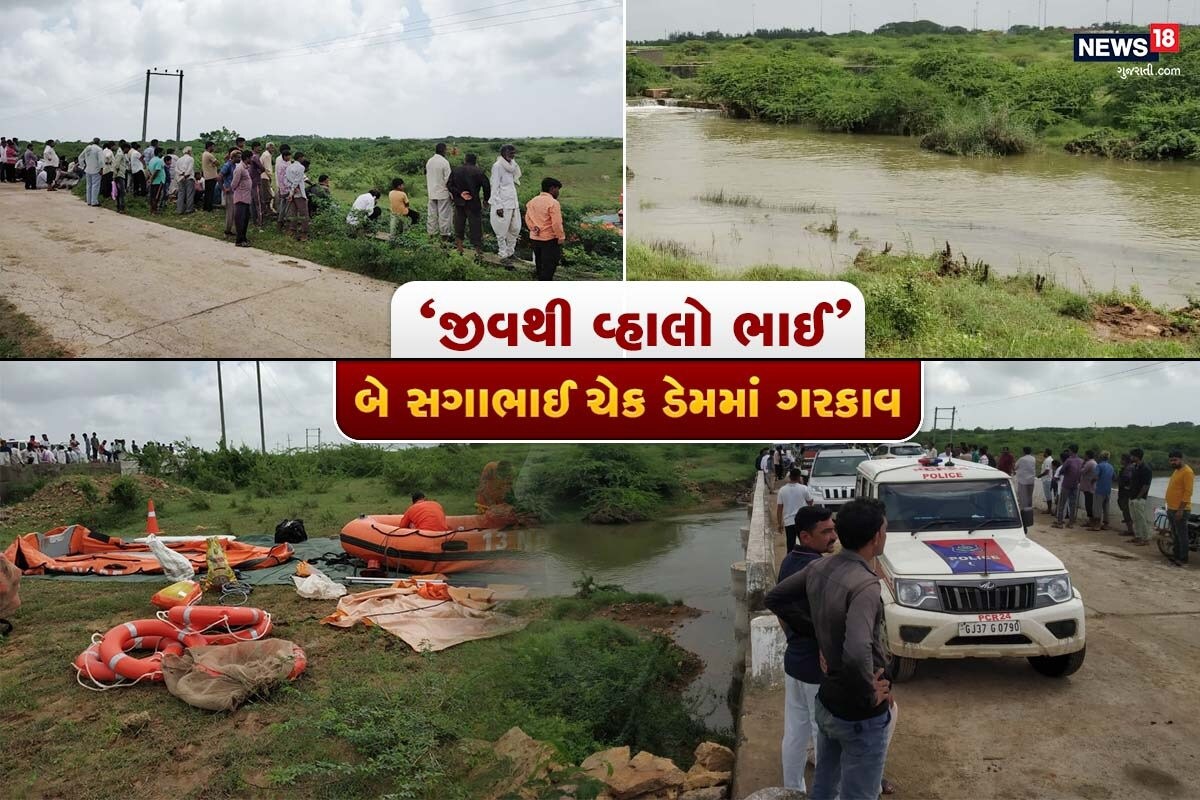 મુકુંદ મોકરિયા, દેવભૂમી દ્વારકા : લોહીનો સંબંધ એટલે લોહીનો સંબંધ, આજના સમયમાં સંપત્તિ માટે ભાઈ-ભાઈનું નથી રાખતો ત્યારે દ્વારકામાં બે સગા ભાઈના અનોખા પ્રેમની કરૂણ ઘટના સામે આવી છે. અહીં એક ભાઈને ડેમમાં ડુબતો જોઈ બીજો ભાઈ તેને બચાવવા જીવની પરવાહ કર્યા વગર ડેમમાં કૂદી પડ્યો, જોકે બંને ભાઈ ઊંડા પાણીમાં ગરકાવ થઈ ગયા. એકની લાશ મળી આવી છે. બીજાની શોધખોળ ચાલુ છે. મુકુંદ મોકરિયા, દેવભૂમી દ્વારકા : લોહીનો સંબંધ એટલે લોહીનો સંબંધ, આજના સમયમાં સંપત્તિ માટે ભાઈ-ભાઈનું નથી રાખતો ત્યારે દ્વારકામાં બે સગા ભાઈના અનોખા પ્રેમની કરૂણ ઘટના સામે આવી છે. અહીં એક ભાઈને ડેમમાં ડુબતો જોઈ બીજો ભાઈ તેને બચાવવા જીવની પરવાહ કર્યા વગર ડેમમાં કૂદી પડ્યો, જોકે બંને ભાઈ ઊંડા પાણીમાં ગરકાવ થઈ ગયા. એકની લાશ મળી આવી છે. બીજાની શોધખોળ ચાલુ છે.