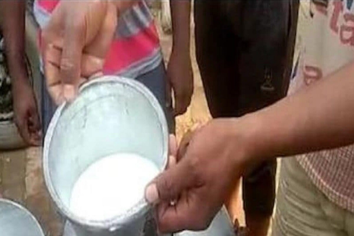 Agra goat milk: બકરીનું દૂધ વેચાય છે રૂ.300 પ્રતિ લીટર, સામે આવ્યું મોટું કારણ