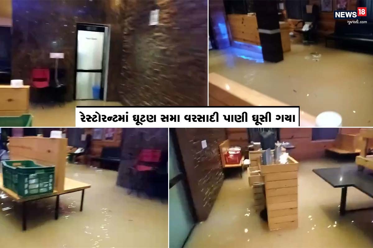 પ્રતિશ શીલુ, પોરબંદર : રાજ્યમાં છેલ્લા કેટલાક દિવસથી વરસાદ મન મૂકીને (Gujarat Rains) વરસી રહ્યો છે. સાયક્લોન ગુલાબની (Cyclone gulab Effect) અસરના કારણે રાજ્યમાં ચોમાસુ મોડુ વિદાય લેવાનું છે. દરમિયાન પોરબંદર (Porbandar Rains)પંથકમાં પણ મેઘરાજા મન મૂકીને વરસી રહ્યા છે. ખેડૂતો (Farmers) માટે આ વરસાદ આશિર્વાદ સમાન બન્યો છે ત્યારે કેટલાક લોકો માટે તંત્રના પાપે આ વરસાદ શ્રાપ બન્યો છે. અણધડ આયોજનના કારણે વરસાદી પાણીનો નિકાલ ન થઈ શકવાની સ્થિતિમાં આ વરસાદના પાણી રેસ્ટોરન્ટમાં ઘૂસી ગયા છે. પોરબંદર-દ્વારકા હાઇવે પર આવેલા સિદ્ધિ વિનાયક જય ચામુંડા રેસ્ટોરન્ટની (Siddhi Vinayak chamunda Restaurant) અંદર પાણી ઘૂસી (Water Lodging) જતા હાલાકી ભોગવવાનો વારો આવ્યો છે. પ્રતિશ શીલુ, પોરબંદર : રાજ્યમાં છેલ્લા કેટલાક દિવસથી વરસાદ મન મૂકીને (Gujarat Rains) વરસી રહ્યો છે. સાયક્લોન ગુલાબની (Cyclone gulab Effect) અસરના કારણે રાજ્યમાં ચોમાસુ મોડુ વિદાય લેવાનું છે. દરમિયાન પોરબંદર (Porbandar Rains)પંથકમાં પણ મેઘરાજા મન મૂકીને વરસી રહ્યા છે. ખેડૂતો (Farmers) માટે આ વરસાદ આશિર્વાદ સમાન બન્યો છે ત્યારે કેટલાક લોકો માટે તંત્રના પાપે આ વરસાદ શ્રાપ બન્યો છે. અણધડ આયોજનના કારણે વરસાદી પાણીનો નિકાલ ન થઈ શકવાની સ્થિતિમાં આ વરસાદના પાણી રેસ્ટોરન્ટમાં ઘૂસી ગયા છે. પોરબંદર-દ્વારકા હાઇવે પર આવેલા સિદ્ધિ વિનાયક જય ચામુંડા રેસ્ટોરન્ટની (Siddhi Vinayak chamunda Restaurant) અંદર પાણી ઘૂસી (Water Lodging) જતા હાલાકી ભોગવવાનો વારો આવ્યો છે.