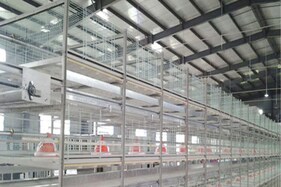 Earn Money: માત્ર 50 હજારમાં શરૂ કરો આ બિઝનેસ, દર મહિને થશે 1 લાખની કમાણી, સરકાર આપશે 35% સબ્સિડી