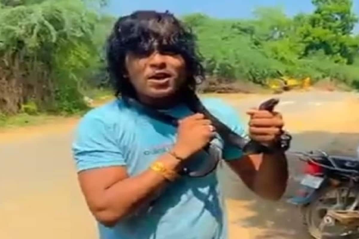 બનાસકાંઠા : જીવતા ઝેરી સાપને ગળામાં વીંટાળી સિંગરે ગીત ગાયું, Video વાયરલ