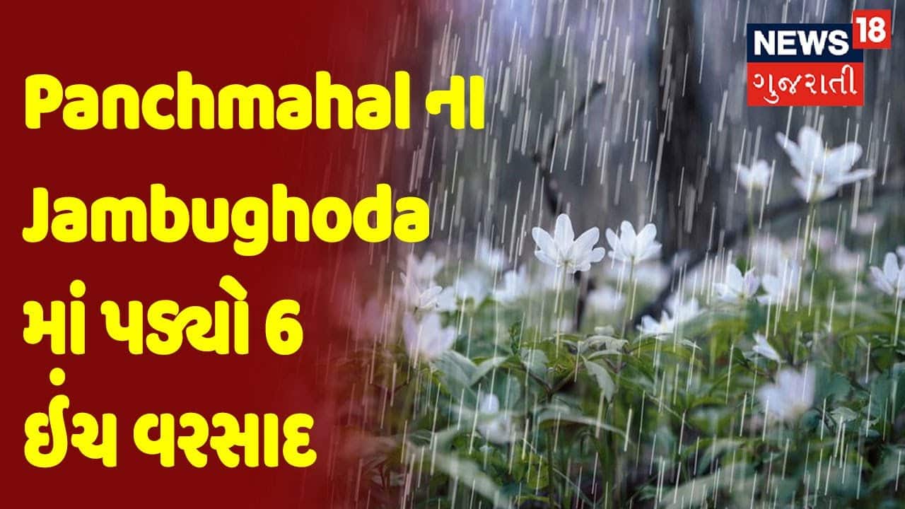 Panchmahal ના Jambughoda માં પડ્યો 6 ઇંચ વરસાદ