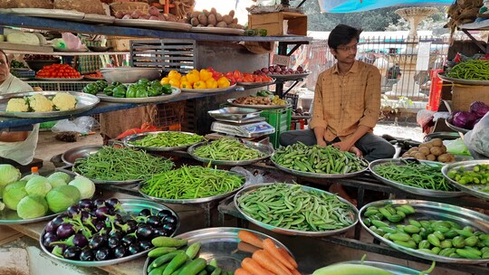 ટ્રાન્સપોર્ટેશન