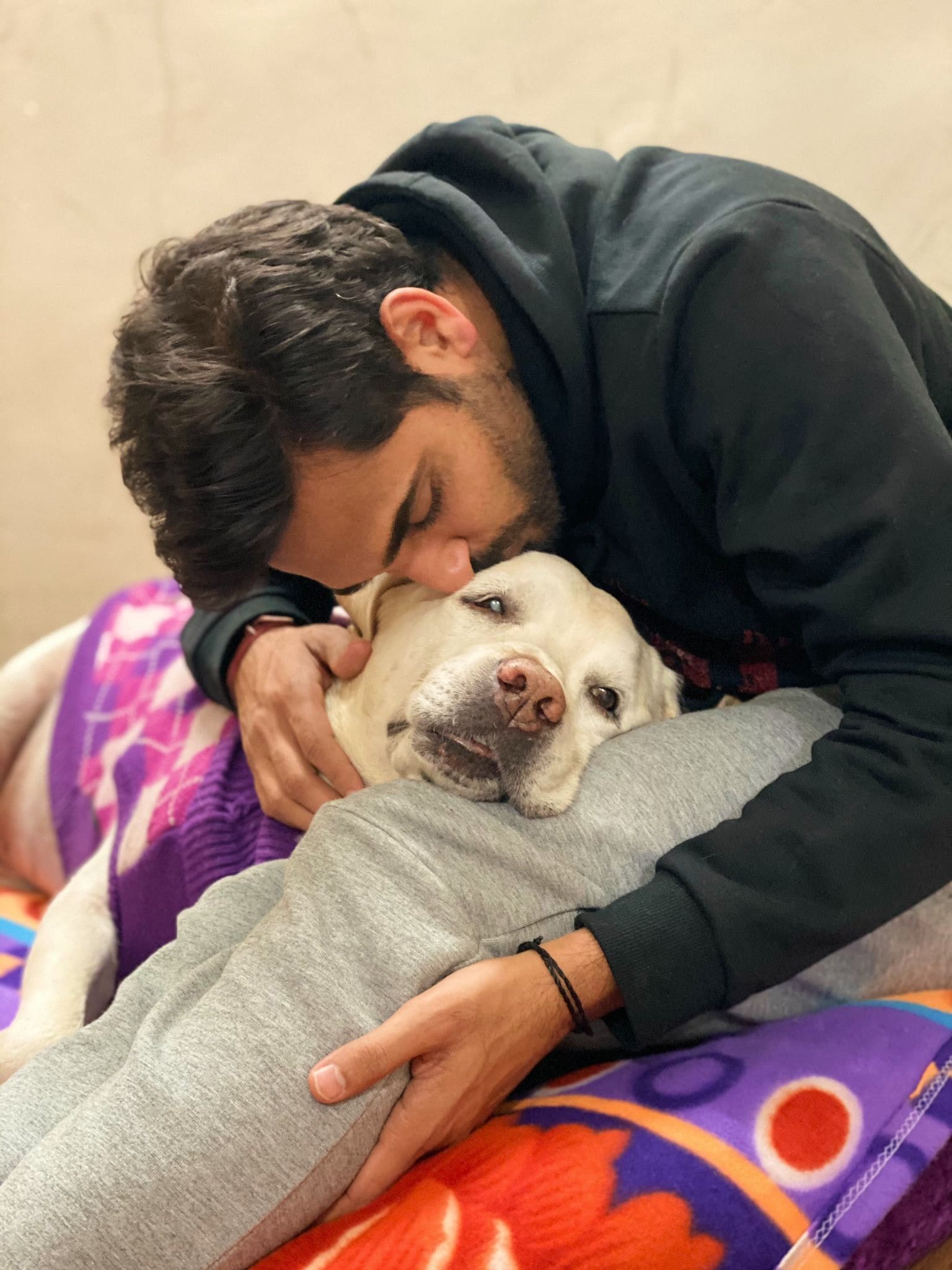 ભુવનેશ્વર કુમારનુ પેટ ડોગ, એલેક્સ (Bhuvneshwar Kumar dog Alex) ભારતીય બોલર ભુવનેશ્વર કુમાર પાસે લેબ્રાડોર છે. જેનું નામ "એલેક્સ" રાખ્યું છે. ભુવનેશ્વર કુમાર અને તેમની પત્ની નુપુરે એલેક્સની ઘણી તસવીરો પોતાના ચાહકો સાથે શેર કરી છે. ભુવનેશ્વર કુમારનુ પેટ ડોગ, એલેક્સ (Bhuvneshwar Kumar dog Alex) ભારતીય બોલર ભુવનેશ્વર કુમાર પાસે લેબ્રાડોર છે. જેનું નામ "એલેક્સ" રાખ્યું છે. ભુવનેશ્વર કુમાર અને તેમની પત્ની નુપુરે એલેક્સની ઘણી તસવીરો પોતાના ચાહકો સાથે શેર કરી છે.