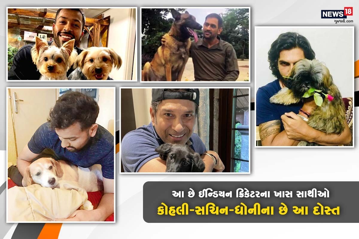 Pets of Indian Cricketer: ભારતીય ક્રિકેટરોને (Indian Cricketers) પ્રેમાળ પાલતુ ડોગ (Dogs of indian Cricketers) સાથે ગુણવત્તાયુક્ત સમય પસાર કરતા જોવા મળે છે. તેઓ ઘણીવાર તેમના પેટ ડોગ્સની તસવીરો તેમના ચાહકો સાથે તેમની સોશિયલ પ્રોફાઇલ્સ પર શેર કરતા હોય છે. આ આર્ટિકલમાં અમે તમને પ્રખ્યાત ભારતીય ક્રિકેટરો અને તેમના પાલતુ ડોગ્સની વાત કરીશું. મહેન્દ્રસિંઘ ધોનીથી (Pets of MS Dhoni) લઈને સચિન (Pets of Sachin Tendulkar), કોહલી (Pets of Virat Kohli) , કેએલ રાહુલ (Pets of KL Rahul), વગેરે ખેલાડીઓ છે પેટ્ના દોસ્ત જાણો એમના ખાસ સાથીઓ વિશે Pets of Indian Cricketer: ભારતીય ક્રિકેટરોને (Indian Cricketers) પ્રેમાળ પાલતુ ડોગ (Dogs of indian Cricketers) સાથે ગુણવત્તાયુક્ત સમય પસાર કરતા જોવા મળે છે. તેઓ ઘણીવાર તેમના પેટ ડોગ્સની તસવીરો તેમના ચાહકો સાથે તેમની સોશિયલ પ્રોફાઇલ્સ પર શેર કરતા હોય છે. આ આર્ટિકલમાં અમે તમને પ્રખ્યાત ભારતીય ક્રિકેટરો અને તેમના પાલતુ ડોગ્સની વાત કરીશું. મહેન્દ્રસિંઘ ધોનીથી (Pets of MS Dhoni) લઈને સચિન (Pets of Sachin Tendulkar), કોહલી (Pets of Virat Kohli) , કેએલ રાહુલ (Pets of KL Rahul), વગેરે ખેલાડીઓ છે પેટ્ના દોસ્ત જાણો એમના ખાસ સાથીઓ વિશે