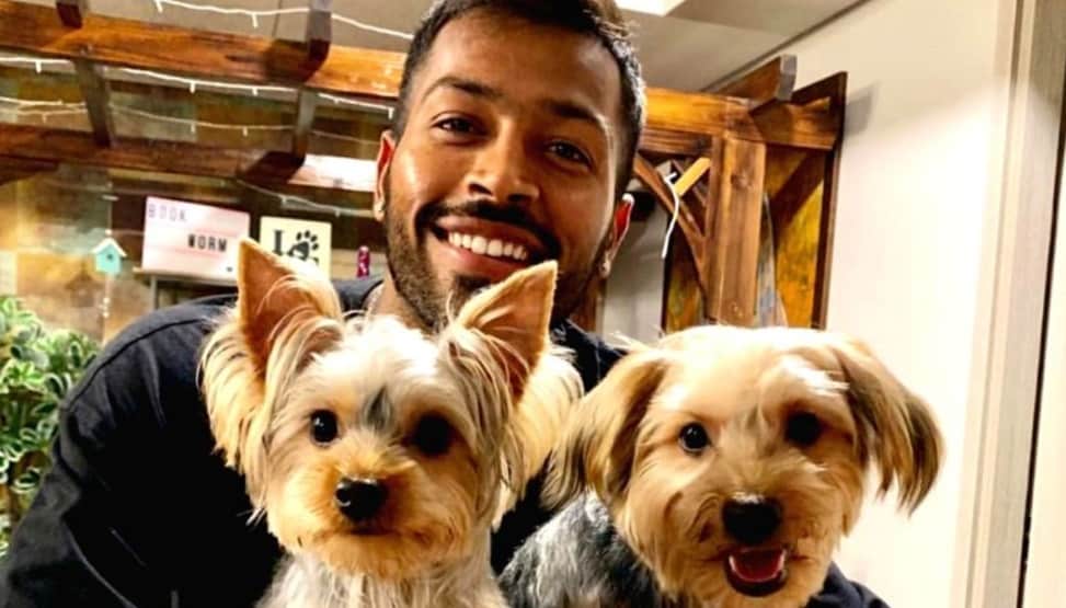 હાર્દિક પંડ્યાનુ પેટ ડોગ (Hardik Pandya's Do Aston and Bentley), એસ્ટન અને બેન્ટલી<br /> ભારતના સ્ટાર ઓલરાઉન્ડર હાર્દિક પંડયા પાસે બે લ્હાસા અપ્સો બ્રીડ ડોગ છે. તેણે તેમનું નામ એસ્ટન અને બેન્ટલી રાખ્યું છે. હાર્દિક અને તેનો ભાઈ કૃણાલ ઘણીવાર પેટ સાથેની તસવીરો તેમના સોશિયલ મીડિયા એકાઉન્ટ પર શેર કરે છે. હાર્દિક પંડ્યાનુ પેટ ડોગ (Hardik Pandya's Do Aston and Bentley), એસ્ટન અને બેન્ટલી<br /> ભારતના સ્ટાર ઓલરાઉન્ડર હાર્દિક પંડયા પાસે બે લ્હાસા અપ્સો બ્રીડ ડોગ છે. તેણે તેમનું નામ એસ્ટન અને બેન્ટલી રાખ્યું છે. હાર્દિક અને તેનો ભાઈ કૃણાલ ઘણીવાર પેટ સાથેની તસવીરો તેમના સોશિયલ મીડિયા એકાઉન્ટ પર શેર કરે છે.