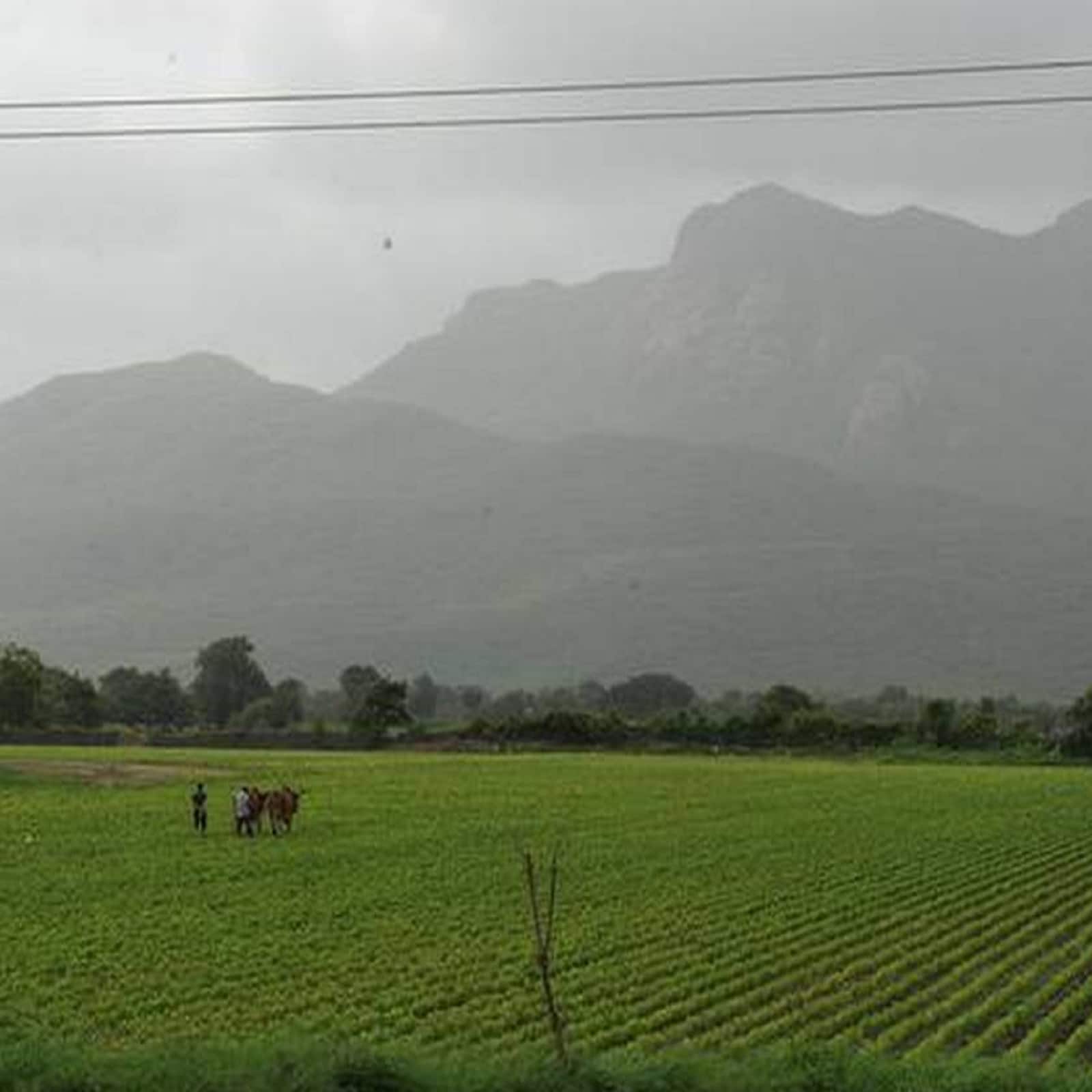 અમદાવાદ: ગુજરાતના વાતાવરણમાં (Gujarat weather forecast) ફરી પલટો આવવાની હવામાન વિભાગે (IMD) આગાહી કરી છે. રાજ્યમાં શિયાળામાં (unseasonal rain in gujarat winter) ફરી માવઠું થવાની આગાહી કરવામાં આવી છે. જેના કારણે ખેડૂતોની ચિંતા વધી શકે છે. હવામાન વિભાગની આગાહી પ્રમાણે, 30 નવેમ્બર અને 1 ડિસેમ્બરના રોજ કમોસમી વરસાદની શકયતા છે. અમદાવાદ: ગુજરાતના વાતાવરણમાં (Gujarat weather forecast) ફરી પલટો આવવાની હવામાન વિભાગે (IMD) આગાહી કરી છે. રાજ્યમાં શિયાળામાં (unseasonal rain in gujarat winter) ફરી માવઠું થવાની આગાહી કરવામાં આવી છે. જેના કારણે ખેડૂતોની ચિંતા વધી શકે છે. હવામાન વિભાગની આગાહી પ્રમાણે, 30 નવેમ્બર અને 1 ડિસેમ્બરના રોજ કમોસમી વરસાદની શકયતા છે.