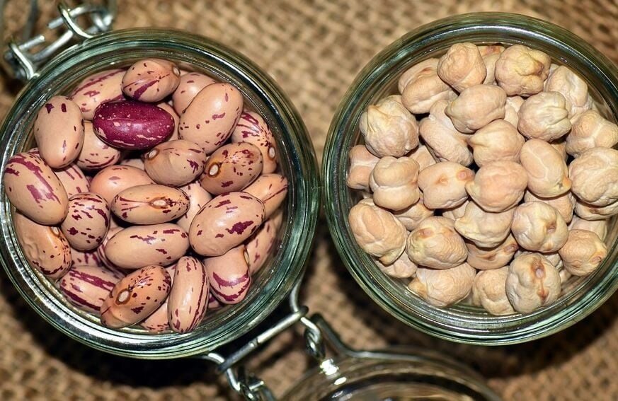 બ્રિઘમ યંગ યુનિવર્સિટીમાં થયેલા એક સંશોધનમાં જાણવા મળ્યું છે કે કઠોળ, રાજમા, સોયા, ચણા વગેરે જેવી વસ્તુઓ 30 વર્ષ પહેલાં બગડતી નથી. તેમાં જોવા મળતા પ્રોટીન અને અન્ય પોષક તત્વો પણ સમાન રહે છે. બ્રિઘમ યંગ યુનિવર્સિટીમાં થયેલા એક સંશોધનમાં જાણવા મળ્યું છે કે કઠોળ, રાજમા, સોયા, ચણા વગેરે જેવી વસ્તુઓ 30 વર્ષ પહેલાં બગડતી નથી. તેમાં જોવા મળતા પ્રોટીન અને અન્ય પોષક તત્વો પણ સમાન રહે છે.