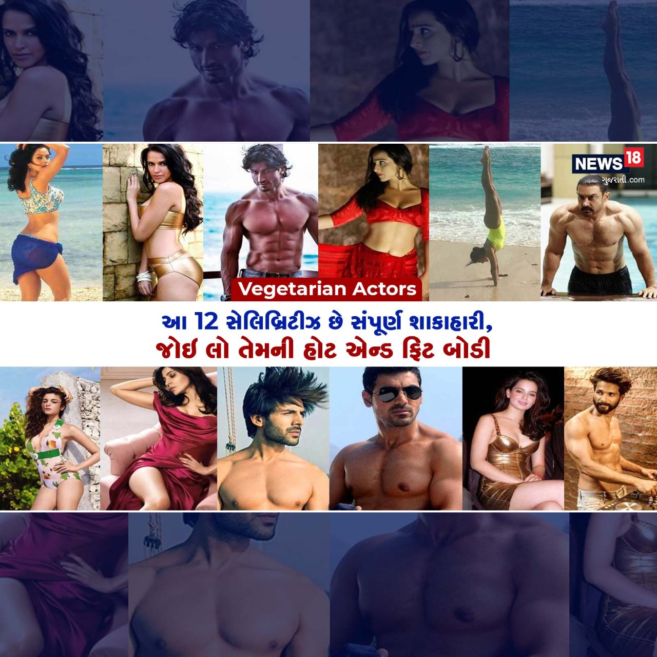  માંસાહારી લોકોનું શરીર (Body) વધુ સ્નાયુબદ્ધ, ફિટ અને હોટ હોવાની માન્યતા લોકોના મનમાં હોય છે. પરંતુ અમિતાભ બચ્ચન, શાહિદ કપૂર, વિદ્યુત જામવાલ, આમિર ખાન, આલિયા ભટ્ટ, અનુષ્કા શર્મા સહિતના શાકાહારી કલાકરો (Vegetarian celebrity)એ આ માન્યતાને ખોટી ઠેરવી છે. ખાવા પીવાના શોખીનો માટે સૌથી મોટી વાત એ છે કે, શાકાહારી ખોરાકમાં માંસાહાર કરતા ખાવા પીવાના વધુ ખૂબ વિકલ્પો અને ટેસ્ટ મળે છે. બીજી તરફ માંસાહારી ખોરાક હૃદય રોગ, હાઈ કોલેસ્ટ્રોલ, ચરબી, બ્લડ પ્રેશર જેવી સમસ્યાઓને આમંત્રણ આપે છે. જ્યારે શાકાહારી ખોરાક બ્લડ પ્રેશર ઘટાડવા, ફાઇબર, ફાયટોકેમિકલ્સ, ફોલિક એસિડ, વિટામિનસી, વિટામિન ઈ, ફોલિક એસિડ, ફાઇબરના વધુ સેવન જેવી તમામ દ્રષ્ટિએ ફાયદાકારક છે. શાકાહારી ખોરાકના ફાયદાના કારણે જ અત્યારે વિશ્વમાં શાકાહારી ખોરાક તરફ લાખો લોકો વળી રહ્યા છે. ટોચના સેલેબ્સ (Bollywood Celebrities)પણ શાકાહારી ખોરાક પદ્ધતી સ્વીકારે છે. જેથી આજે અહીં હોટ અને ફિટ શાકાહારી સેલેબ્સ અંગે વાત કરવામાં આવી છે.