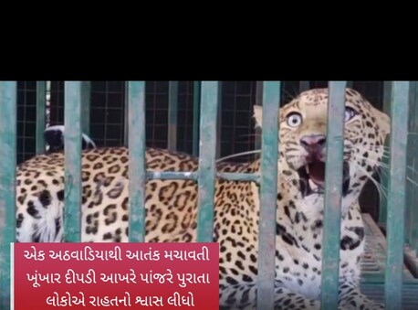 નાની