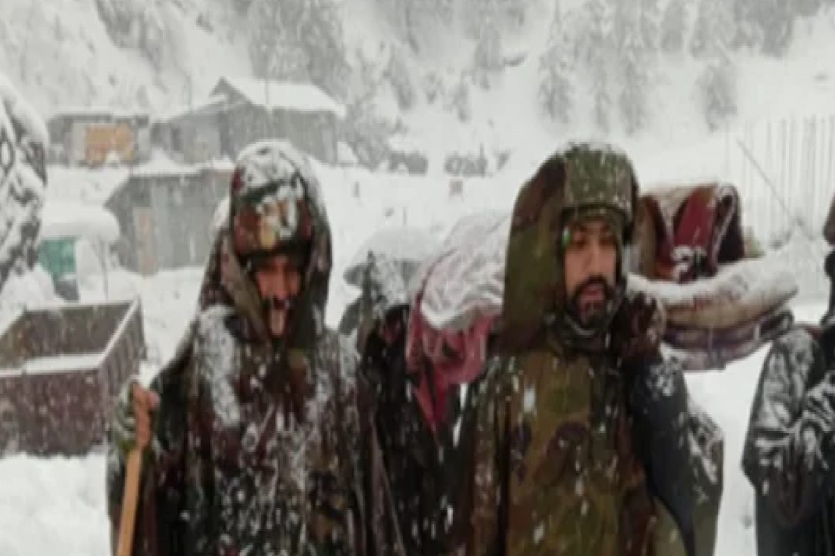 Jammu-Kashmir: ભારે હિમવર્ષા વચ્ચે સેનાએ 6.5 કિમી ચાલીને સગર્ભાને હોસ્પિટલ પહોંચાડી, જુઓ VIDEO