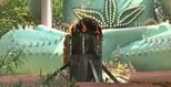 મહાશિવરાત્રીએ પ્રજ્વલિત કરાઈ દેશની સૌથી મોટી જ્યોત, કોરોના મહામારીને દૂર કરવાની પ્રાર્થના