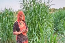 ગામડાની મહિલાએ ખેતીમાં કમાલ કરી, વાર્ષિક 25 થી 30 લાખ રૂપિયા કરે છે કમાણી