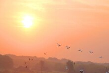 Weather Update: જાણો આજે જામનગરમાં કેટલું રહેશે તાપમાન?, હિટવેવનો થશે જોરદાર અનુભવ