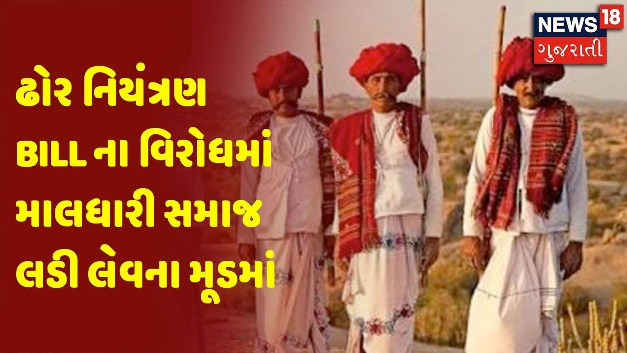Breaking News: નિયંત્રણ નિયંત્રણ Bill વિરોધમાં વિરોધમાં Maldhari Samaj લડી લેવાના મૂડમાં